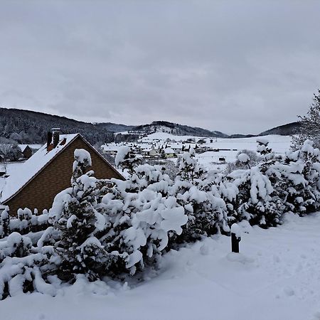 Ferienpark-Sauerland-Tinyworld Diemelsee Exterior foto