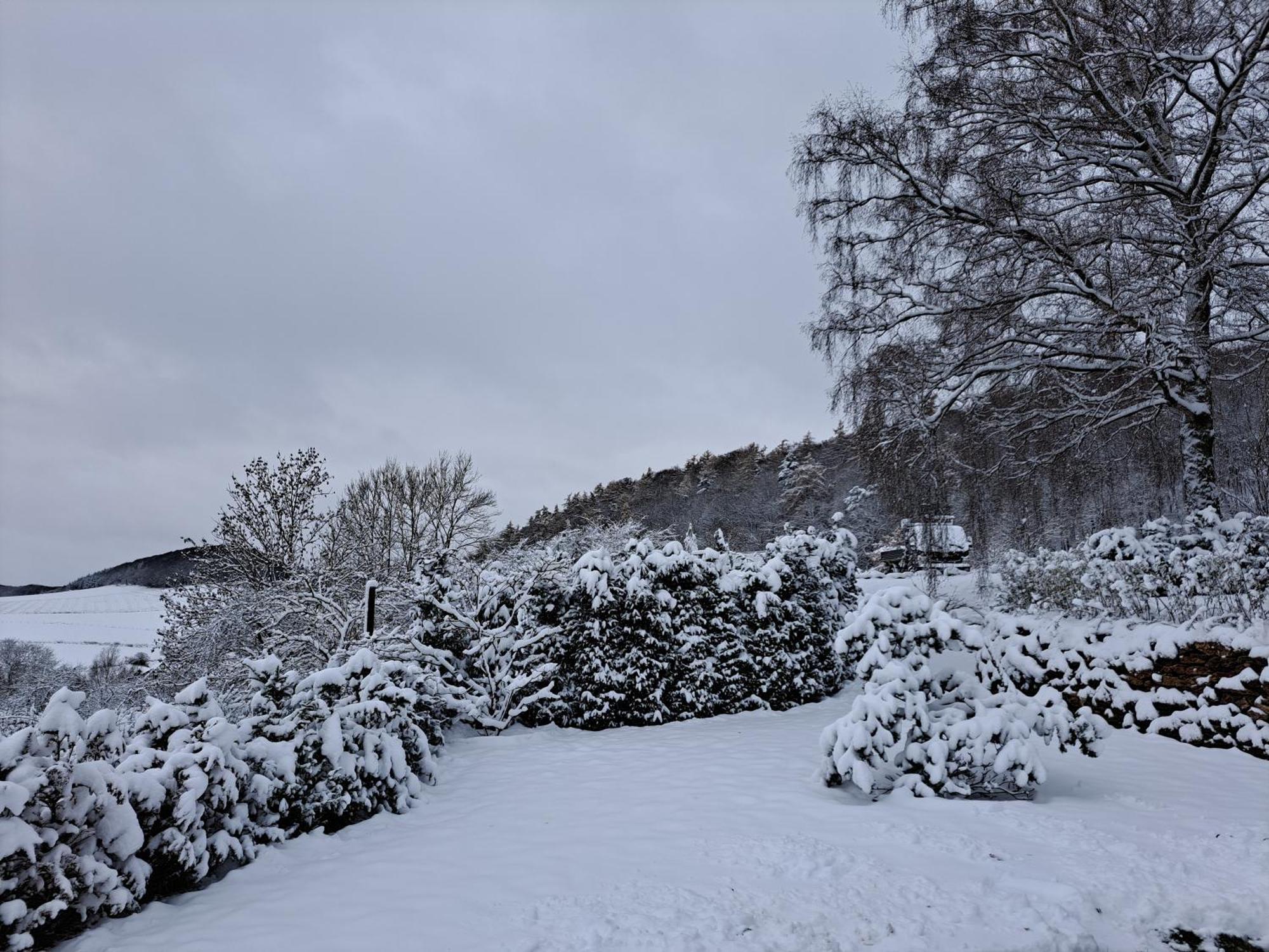 Ferienpark-Sauerland-Tinyworld Diemelsee Exterior foto
