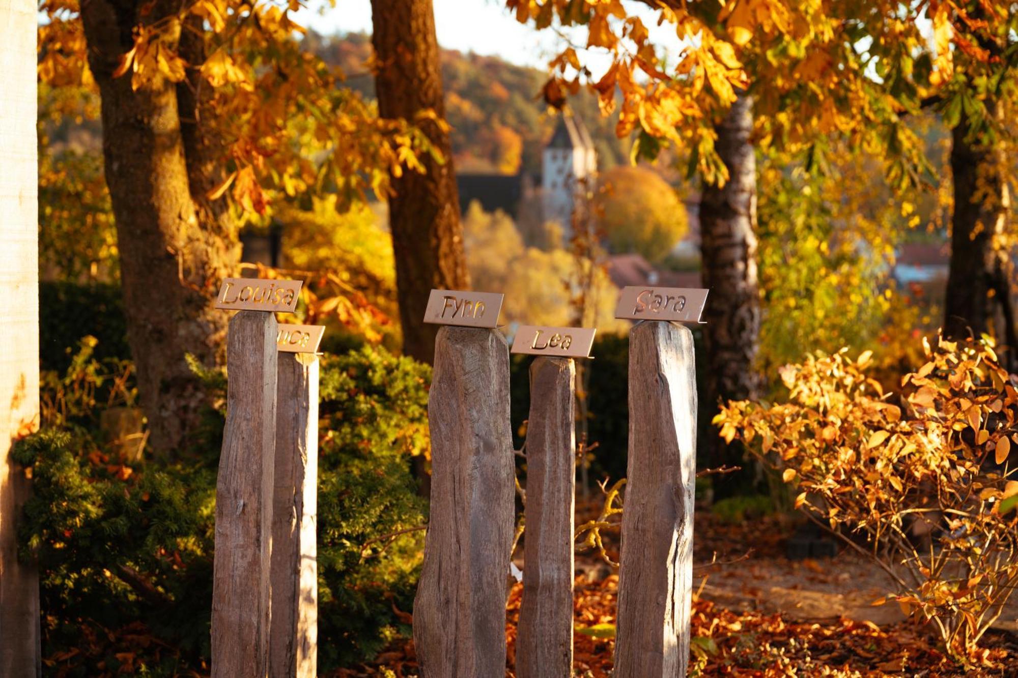 Ferienpark-Sauerland-Tinyworld Diemelsee Exterior foto