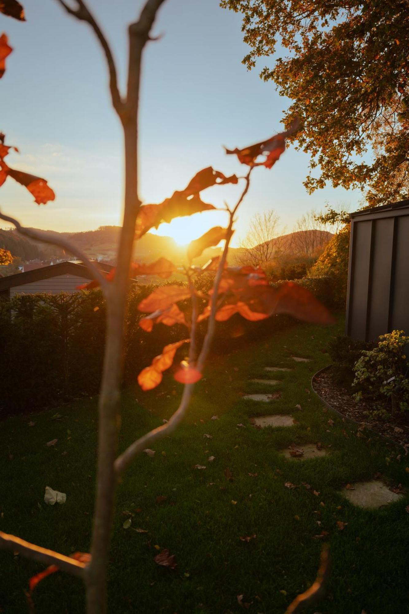 Ferienpark-Sauerland-Tinyworld Diemelsee Exterior foto